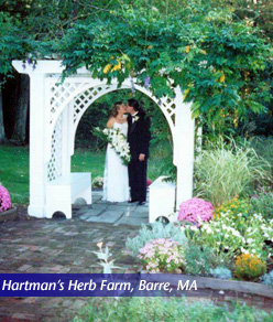 Hartman's Herb Farm, Barre, MA